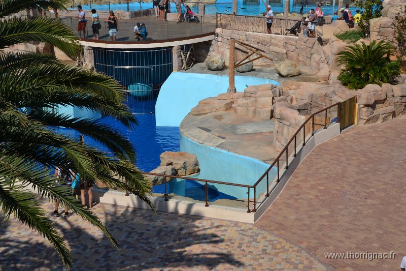 Marineland aout 2014 17.JPG - Marineland - Parc d'attractions aquatiques - Antibes - Août 2014